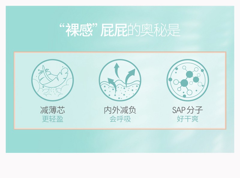 2020110810274716054h.jpg